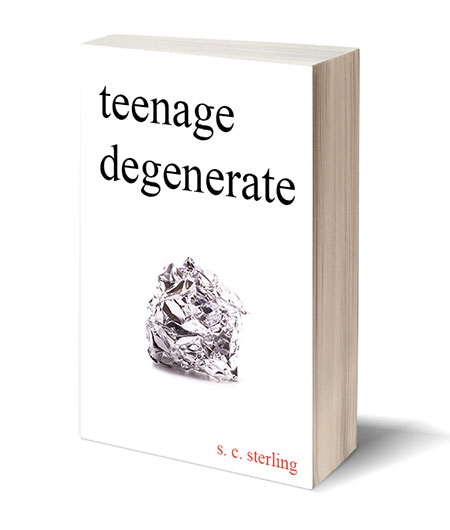 Teenage Degenerate: A Memoir that Explores the Depths of Methamphetamine and Drug Addiction